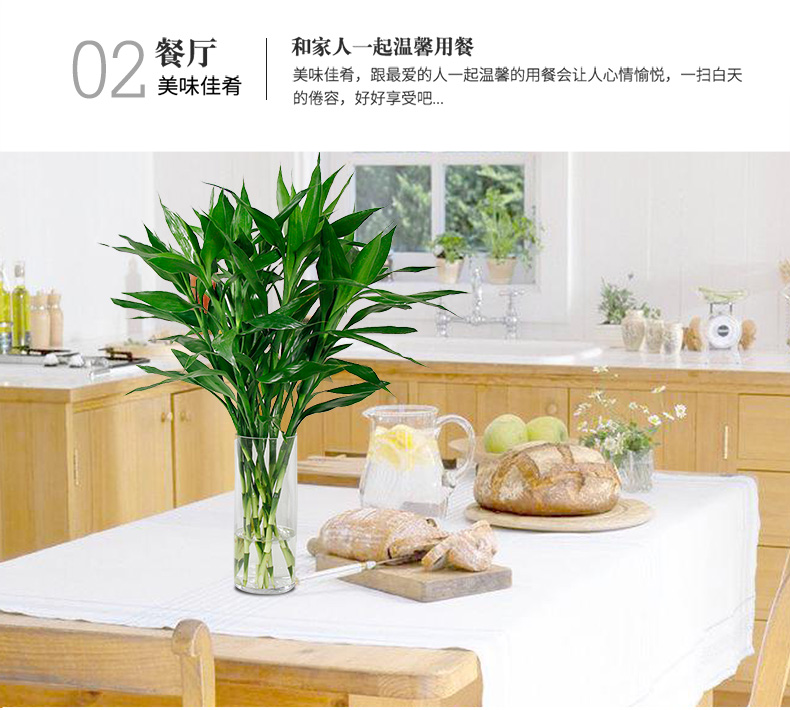 富貴竹