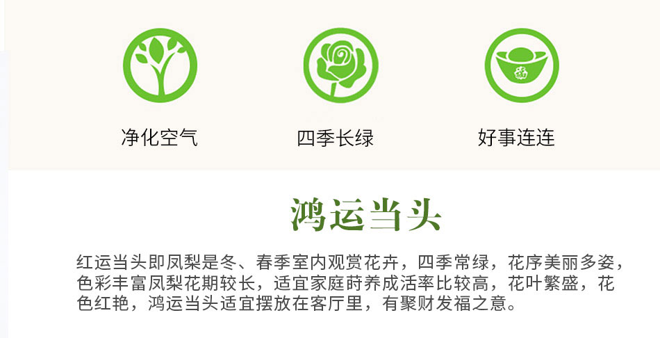 鴻運當頭